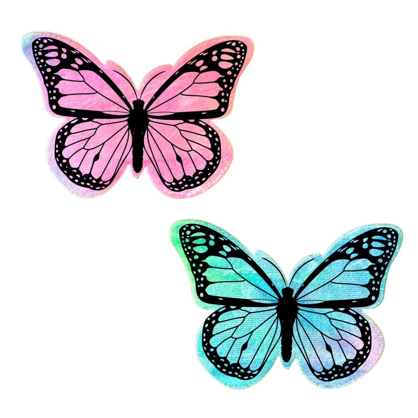 Rainbow Sherbet Velvet Butterfly Pasties