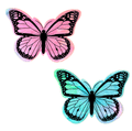 Rainbow Sherbet Velvet Butterfly Pasties