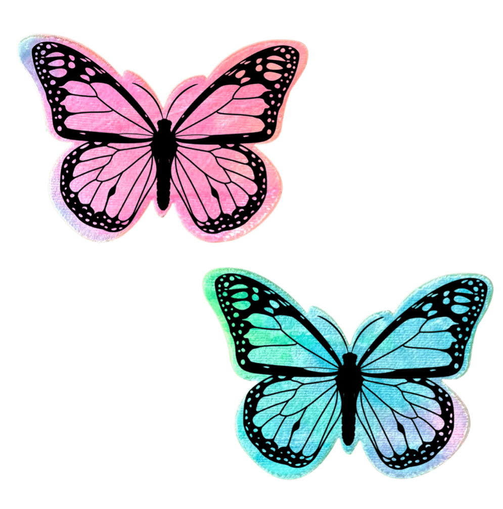 Rainbow Sherbet Velvet Butterfly Pasties