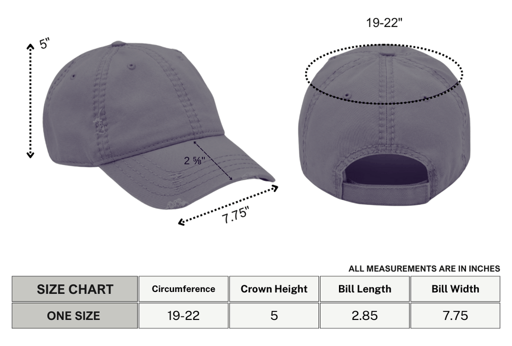 Hott Goth Wife Distressed Dad Hat
